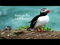 Sara Evans - Born to Fly Lyrics