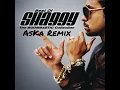 Shaggy - It Wasn’t Me ft. Ricardo Ducent (AsKa House Remix) 2021