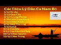 Lagu Các Điệu Lý Dân Ca Nam Bộ [Phần 2] - LÝ TƯƠNG PHÙNG - LÝ LU LÀ - LÝ CHIM QUYÊN