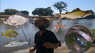 Fishing at Tracy CA For Carp Bluegill and Crayfish 2021