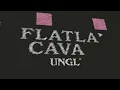 Flatland Cavalry - Unglued (Official Lyric Video)
