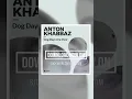 Download Lagu Anton Khabbaz - Dog Days Are Over (Extended Mix)