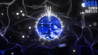 Ogryzek AURA Slowed Official Visualiser 