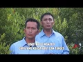 CRYSTAL VOICE POP ROHANI MANADO MANANGIS