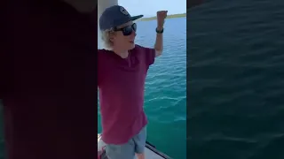 How to get solar panels in Panama? #sailing #family #solar #shorts