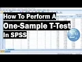How To Perform A One-Sample T-Test In SPSS