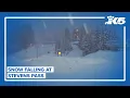 Snow falling at Stevens Pass