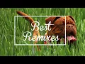 SRTW ft. Charity Children - Whispering Still (Little Rose Remix)