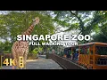 Full Tour at One of the Best Zoos in Asia - SINGAPORE ZOO! | 2025 All Animals and Shows Walking Tour