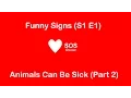 Download Lagu Funny Signs - Animals Can Be Sick (S1 E1) (Part 2)