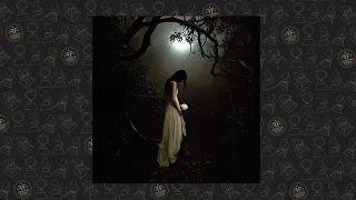 Ilya Konoplev PROOVY Роза сожжена 