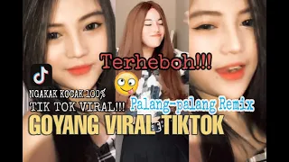 Download Goyang Viral Tik Tok Ter-Heboh | Palang Palang Remix | Kocak Banget! MP3