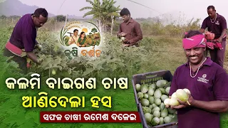 କୃଷି ଦର୍ଶନ | Krishi Darshan | EP#17 | Brinjal Grafting & Farming Success | Ramesh Dalei | DD Odia