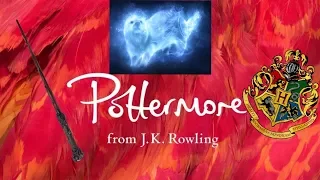Finding Out My Patronus Wand And Hogwarts House On Pottermore