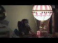 Owl City - Fireflies (Official Music Video)