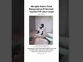 Download Lagu Bacaan Al-Quran Merdu Afrika #Afrika #merdu #murottalquran #murotalindah #merdusekali