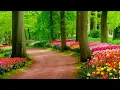 Download Lagu Sergey Grischuk -The beauty of nature ~ Positive Energy | Background Music For Meditation