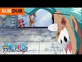 Chopper Doesn t Know What Cola Looks Like One Piece