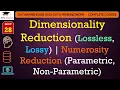 L28 Dimensionality Reduction Lossless Lossy Numerosity Reduction Parametric Non Parametric