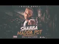 Dexta Daps - Shabba Madda Pot (Hill & Gully Riddim)