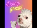 Automatically Issuing Credly Badges in Canvas