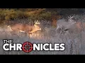 The Chronicles Deer Hunting the Rut in Nebraska