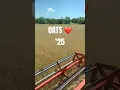 Download Lagu Golden ❤️ #organic #organicfarming #harvest
