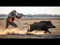 Boar After Boar — 69 in 9 Minutes | Wild Boar Hunting Ep 59
