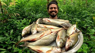 ചൂണ്ടക്ക് പിടിച്ച രോഹു കറി വച്ചപ്പോള്‍ 🐬 Cooking With chinchu 👀 village cooking 🤔 G J MOWGLI 