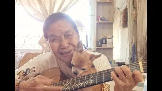 QUANDO QUANDO QUANDO. Cover by @Malinda Herman Official.