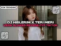 Download Lagu DJ HISLERIM X TERI MERI VERSI SLOWED _ REVERB__ FYP TIKTOK 2025
