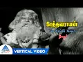 Download Lagu Vaa Kalaba Mayile Vertical Video | Kathavarayan Tamil Movie Songs | Sivaji Ganesan|Savitri |PG Music