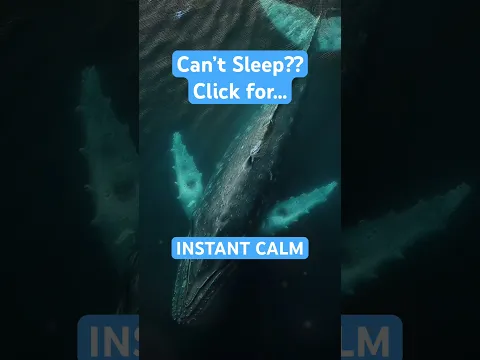 60 Seconds of Deep Sea Peace #sleep