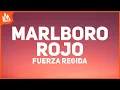 Download Lagu FUERZA REGIDA – Marlboro Rojo [Letra]
