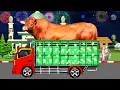 Download Lagu Wadidaw‼️Ada Sapi Kurban Terbesar di Angkut Truk Oleng Malam Takbiran Idul Adha