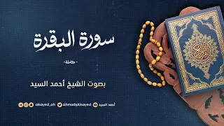 سورة البقرة ليالي رمضان ١٤٤٦ الشيخ أحمد السيد 