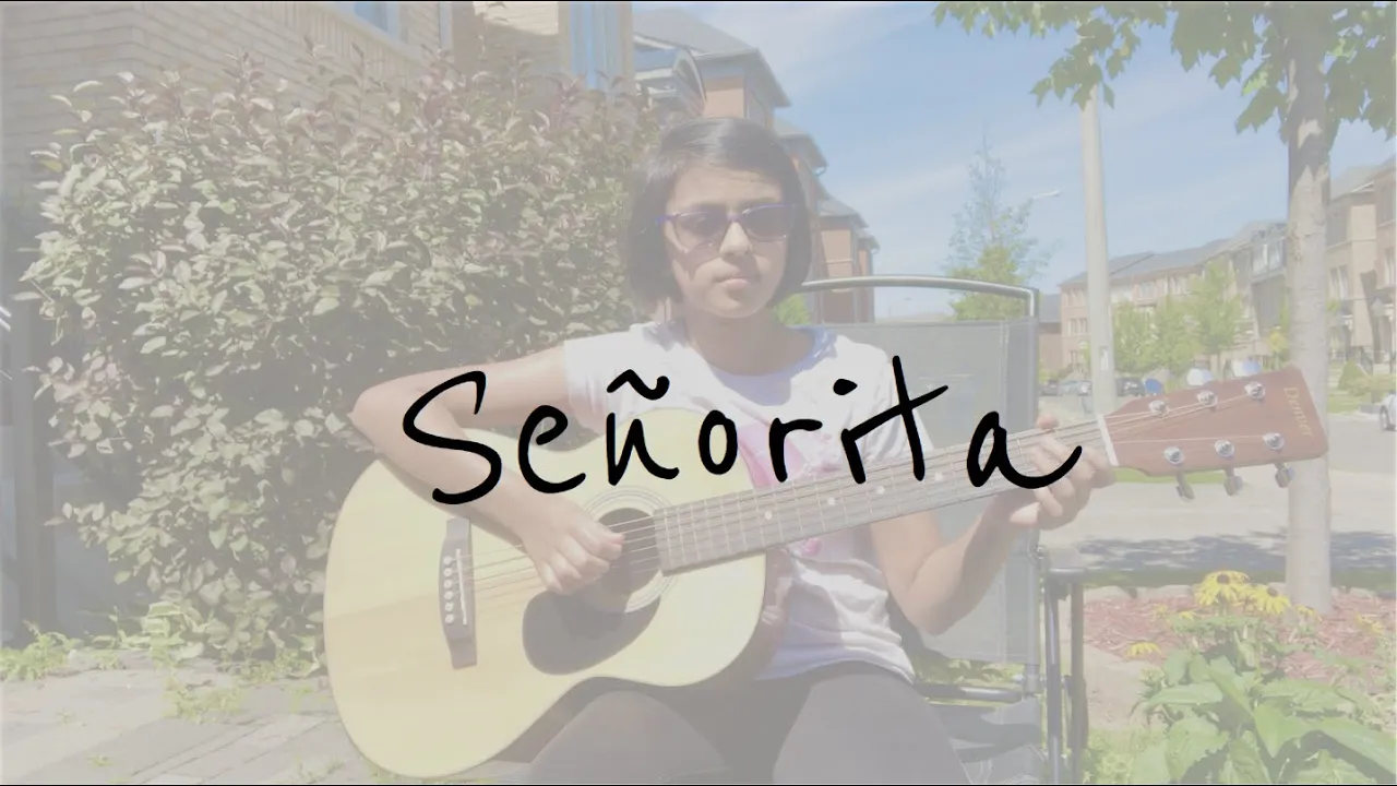 Señorita - Shawn Mendes & Camila Cabello | Fingerstyle Guitar - Udichi Paul