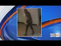 Crime Stoppers seeking tips on Little Caesars burglary in Springfield