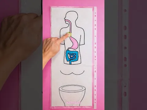 πβ¨ Food's Fantastic Flight: Tummy Adventure! ππ #Shorts #KidsFun