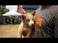 2023 ASPCA Humane Awards