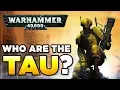 Download Lagu THE TAU - RACE OVERVIEW - Beginner's Guide | WARHAMMER 40,000 Lore / History