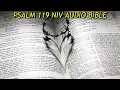 PSALM 119 NIV BIBLE with text
