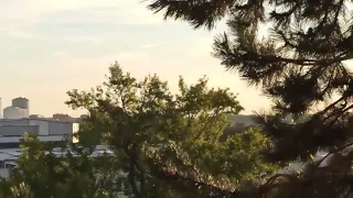                                                                      دندنها