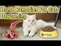 How to Deworm a cat with Home Remedies Home Remedies for Deworming Cats Cat Worms Treatment