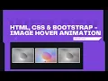 HTML CSS BOOTSTRAP - Responsive Image Hover Animation Web Dev Tags