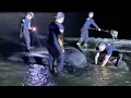 FWC says beached manatees should not have been moved in New Smyrna Beach rescue