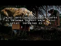 Download Lagu Jejak harimau di halaman pondok takut tidur sendirian di tengah kebun hidup di hutan