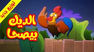 الديك بيصحى قناة بلبل BulBul TV 