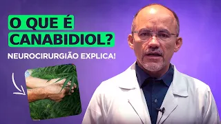 Tudo sobre Canabidiol com o Dr. Francinaldo Gomes, Neurocirurgião.