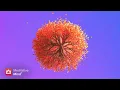 888 Hz Abundance Prosperity Manifestation Frequency Ambient Meditation